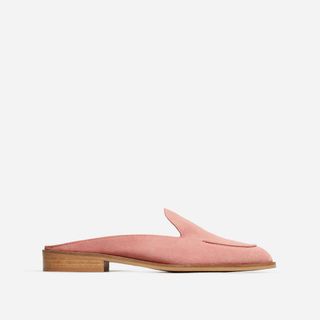 Everlane + The Modern Loafer Mule