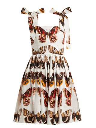 Dolce & Gabbana + Butterfly-print cotton-poplin mini dress