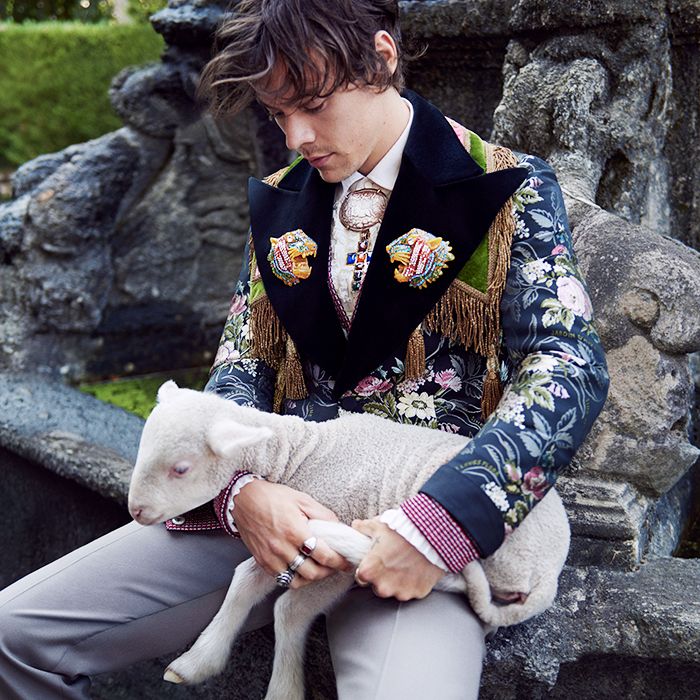 Harry Styles Fashion: 17 Outfit Ideas I Stole From Him | Who What Wear