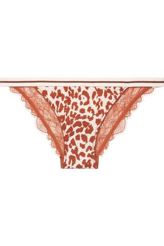 Love Stories + Wild Rose Leopard-Print Stretch-Jersey and Lace Briefs