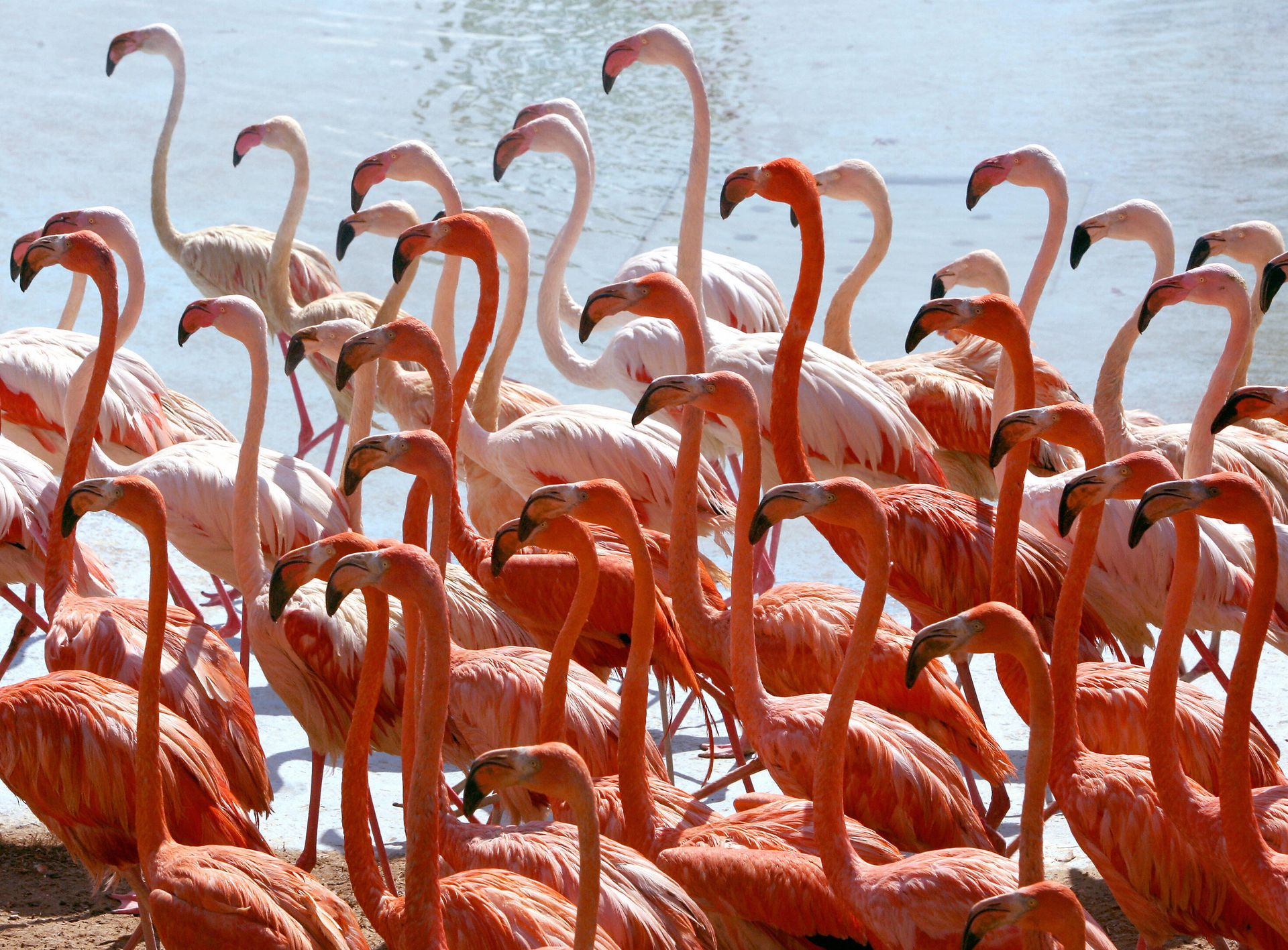 The Most Popular Halloween Costumes of 2018 | Who What Wear