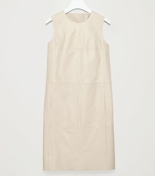 COS + Panelled Leather A-Line Dress