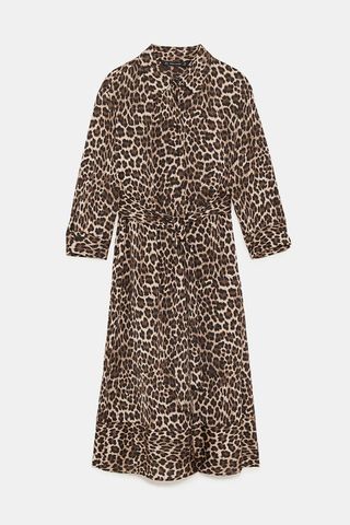 Zara + Animal Print Dress