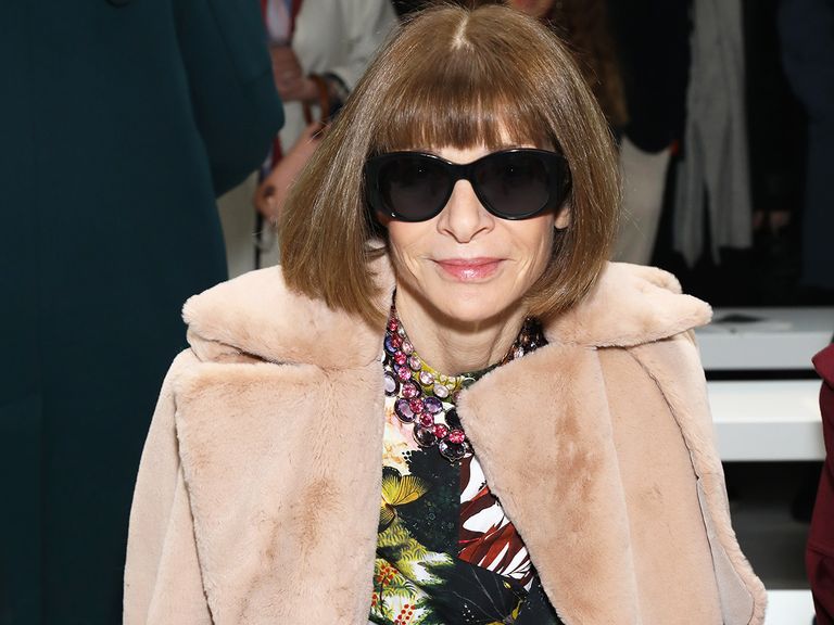 Anna Wintour's Opinion on the New Celine | Who What Wear