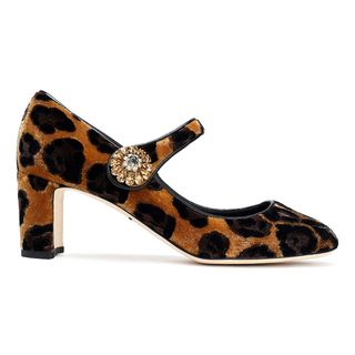 Dolce & Gabbana + Vally Embellished Leopard-Print Velvet Mary Jane Pumps