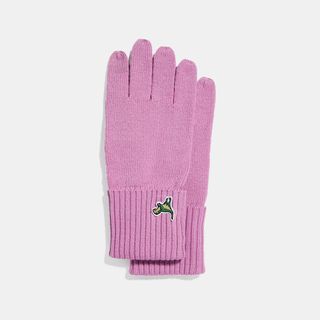 Coach + Knit Tech Rexy Gloves