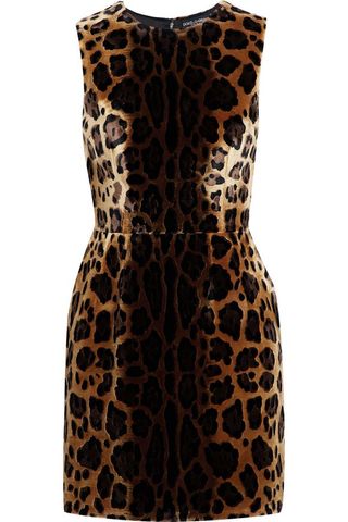 Dolce & Gabanna + Leopard-Print Silk-Blend Velvet Jacquard Mini Dress