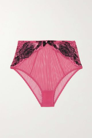 Agent Provocateur + Yara Leavers Lace and Tulle Briefs