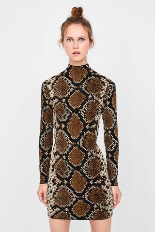Zara + Snakeskin Print Jacquard Dress