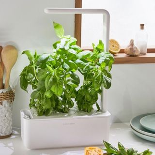 Click and Grow + Smart Herb Garden 3 Starter Kit