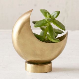 Urban Outfitters + Half Moon Planter