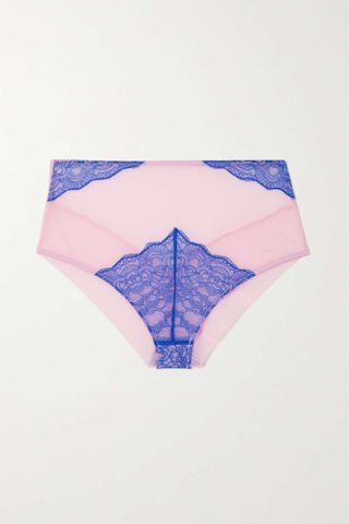 Dora Larsen + Cameron Lace and Tulle Briefs