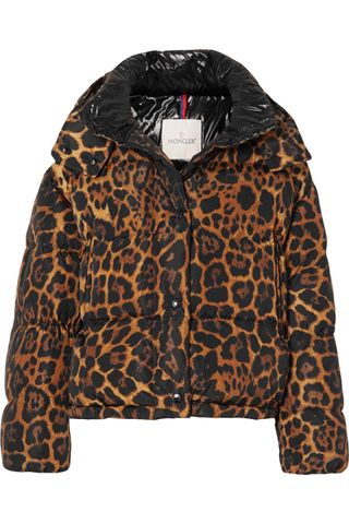 Moncler + Leopard-Print Quilted Shell Down Jacket