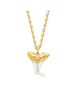 Missoma + Lucy Williams Shark Tooth Necklace