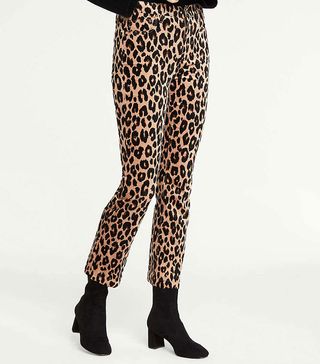 Ann Taylor + Leopard Velvet Flare Crop Pants