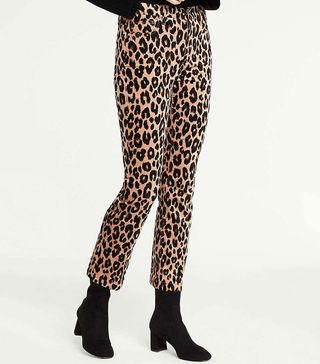 Ann Taylor + Leopard Velvet Flare Crop Pants
