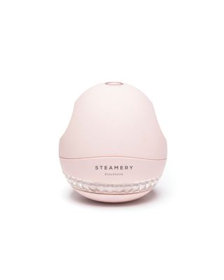 Steamery + Pink Fabric Shaver