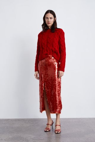 Zara + Sequin Skirt