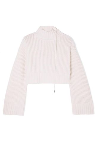 Dion Lee + Aviation Cropped Ribbed Wool-Blend Turtleneck Sweater