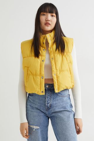 H&M + Crop Vest