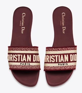 Christian Dior + Dway Mules