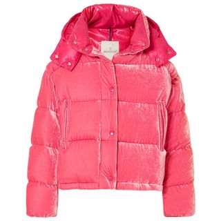 Monclear + Quilted Velvet Puffer Jacket