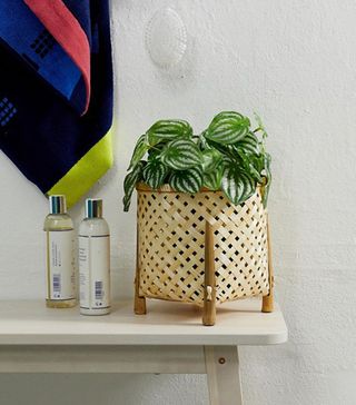ASOS Supply + Bamboo Plant Stand