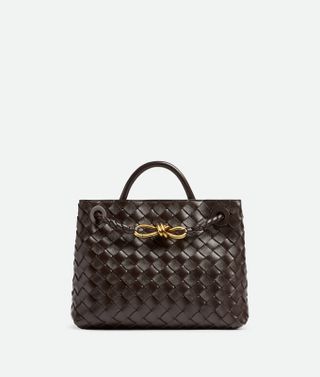 Bottega Veneta + Small Andiamo Bag