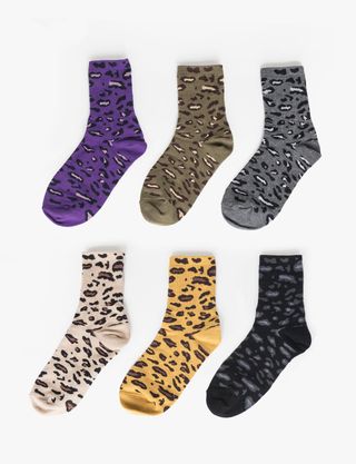 Pixie Market + Leopard Socks