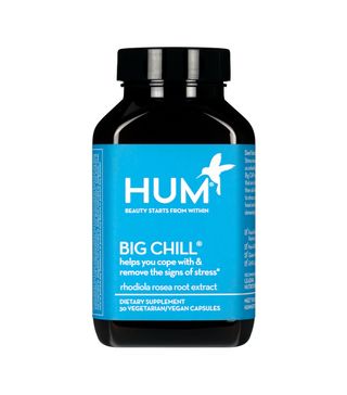 Hum Nutrition + Big Chill