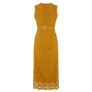 Warehouse + Corded Lace Dress