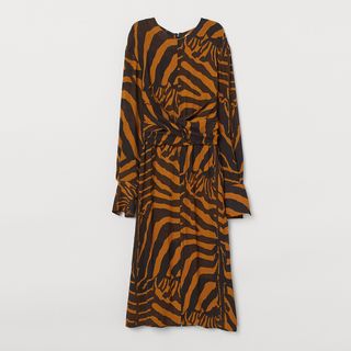 H&M + Zebra Dress