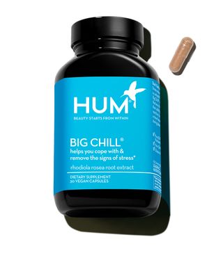 Hum Nutrition + Big Chill Stress Management Supplement
