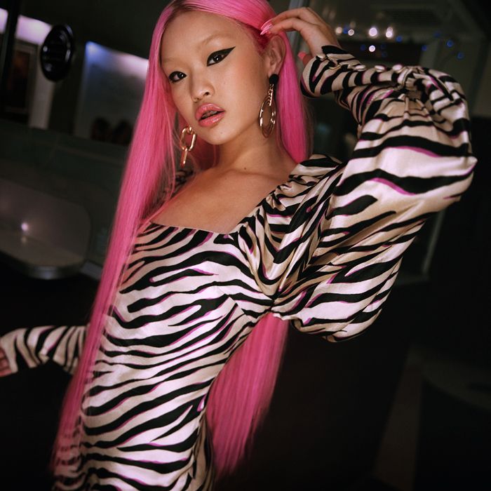 The Best Zebra-Print Dresses to Buy Now | Who What Wear