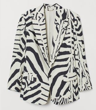 H&M + Zebra-Striped Jacket