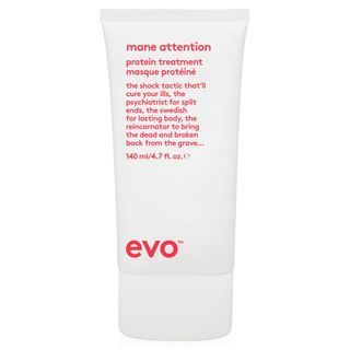 Evo + Mane Attention Protein Treatment