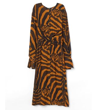 H&M + Zebra-Striped Dress