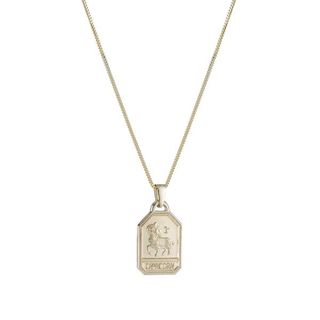 Ariel Gordon + Zodiac Dog Tag Necklace