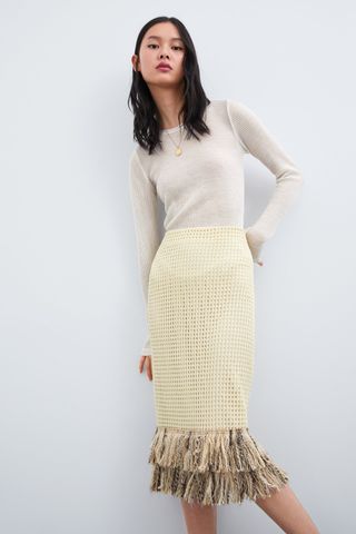 Zara + Mesh Skirt