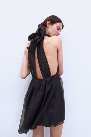 Zara + Mini Organza Dress