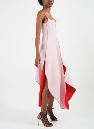 Y/Project + Tulip Dress