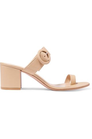 Gianvito Rossi + 65 Buckled Leather Sandals