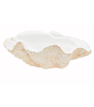 Matilda Goad + Giant Ceramic Clam Shell
