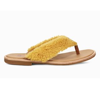 Ugg + Alicia Flip Flops