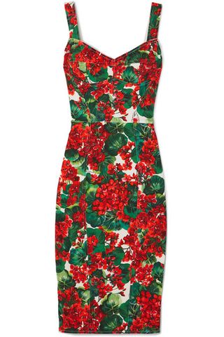 Dolce & Gabbana + Floral-Print Stretch-Cady Dress