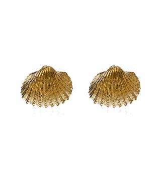 Tohum + Small Beach Shell Earrings