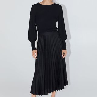 Zara + Pleated Skirt