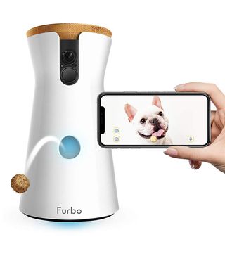 Furbo + Dog Camera