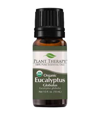 Plant Therapy + Eucalyptus Essential Oil