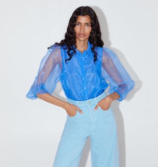 Zara + Organza Blouse with Full Sleeves